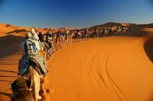 camel ride in Merzouga